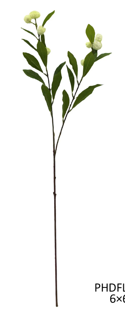 Button Bush Stem - PVH