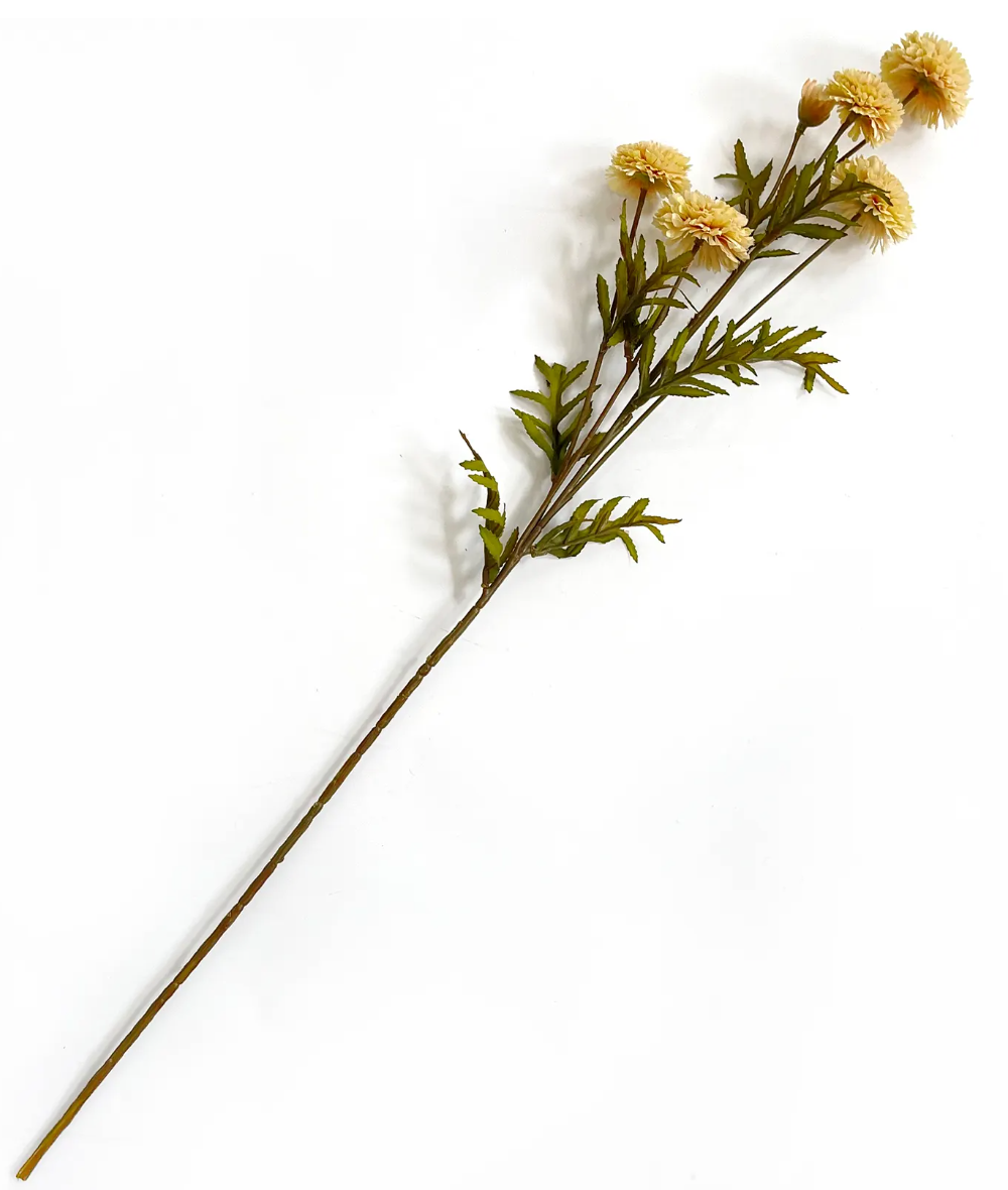 Aster White - 27" - PVH