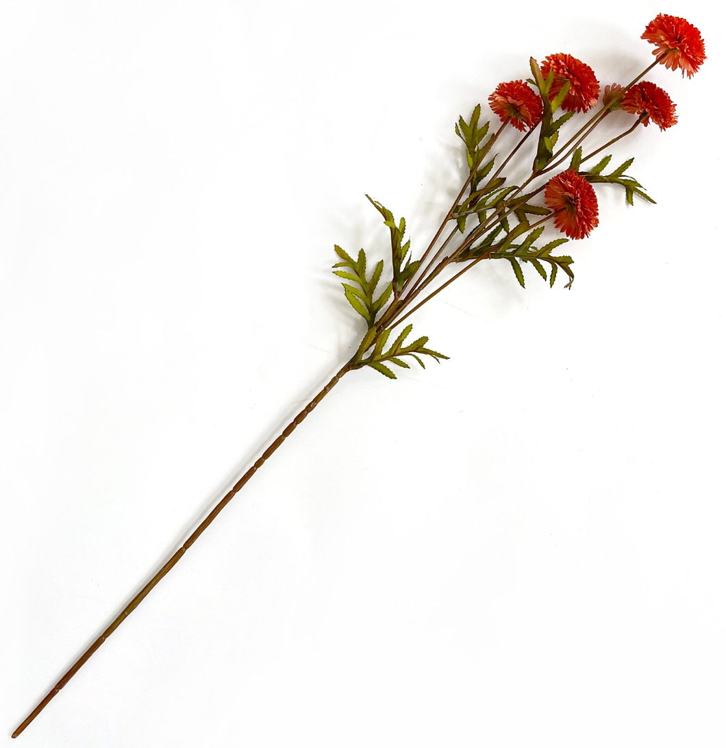 Aster Salmon - PVH