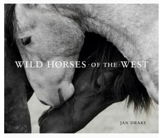 Wild Horses of the West - GS