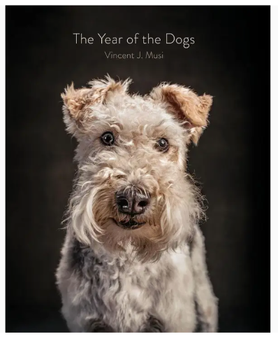 Year of the Dogs - CB